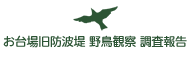 お台場旧防波堤 野鳥観察 調査報告